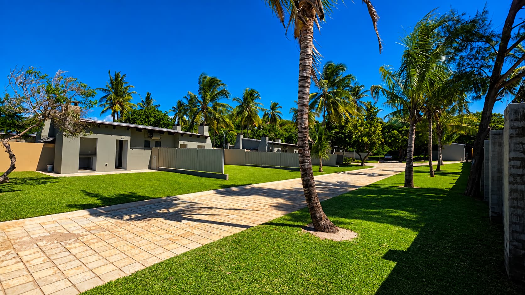 Palm trees and paved walkway between Premium stands