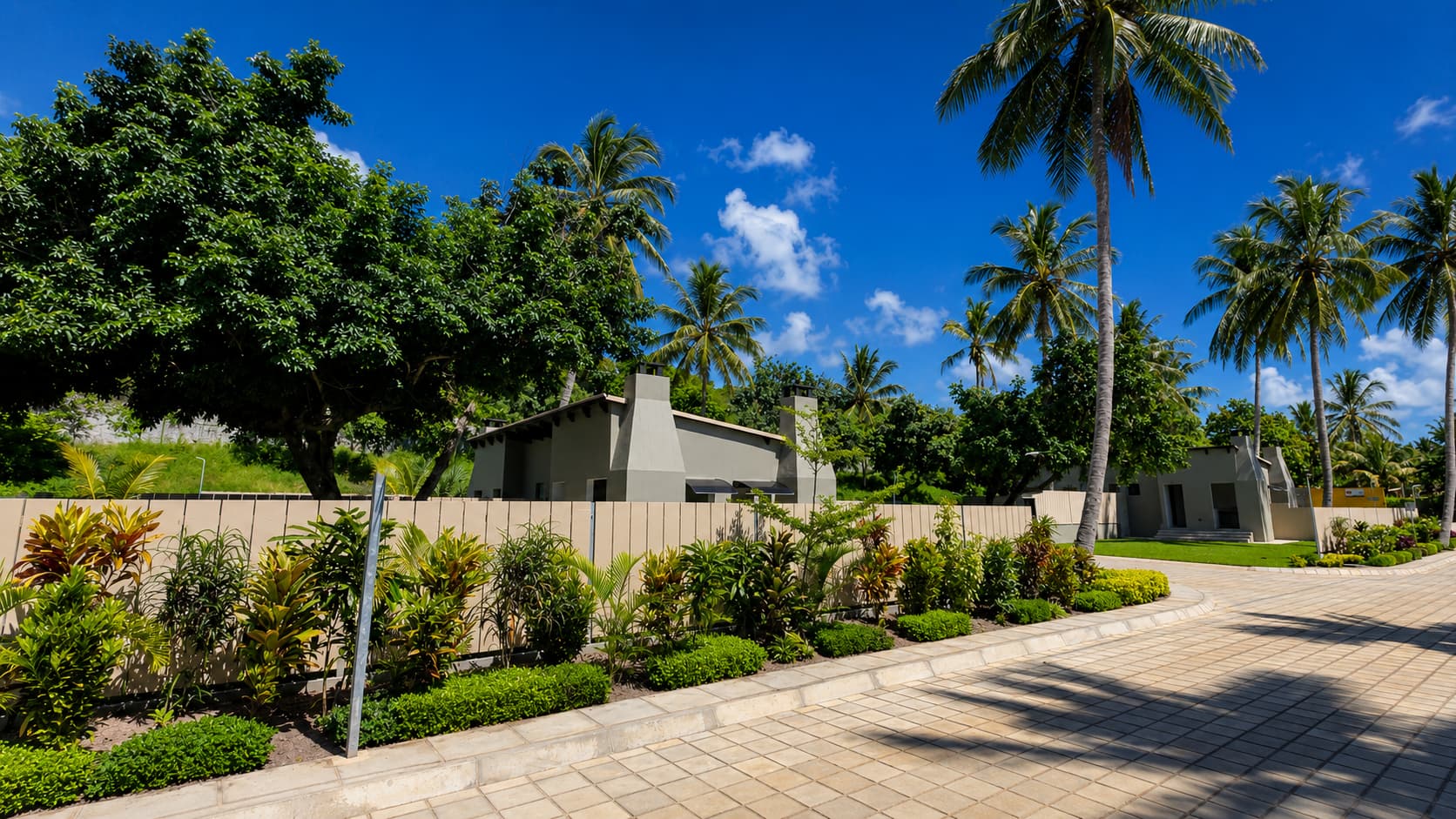 Paved pathway between grassed stands, lined with palm trees